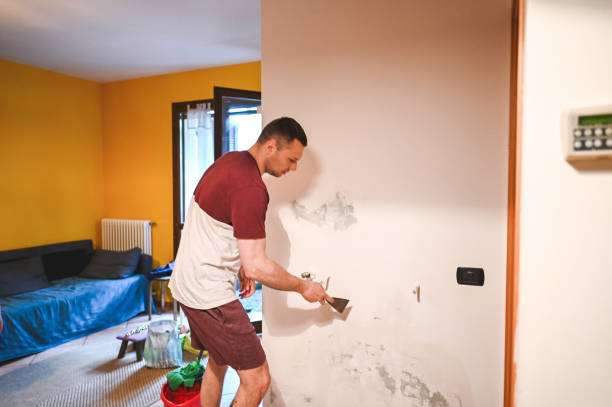 Best Office Mold Removal Services  in World Golf Village, FL