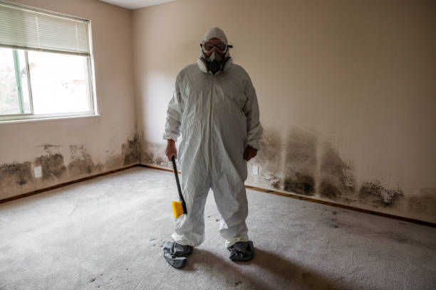 Best Attic Mold Removal  in World Golf Village, FL